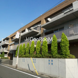 コリーヌ自由が丘