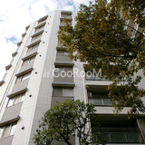 デュオ・スカーラ大島