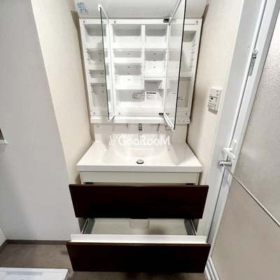 
						ラグゼナ秋葉原 洗面台収納