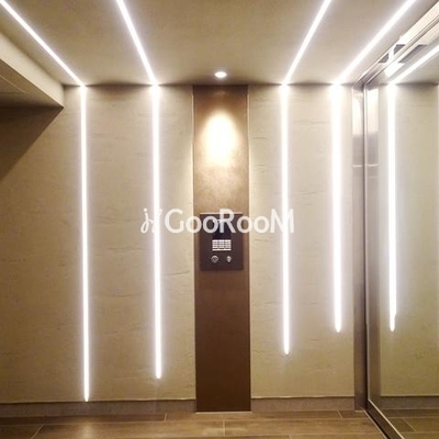 
						カメリア 外観・共用部 写真3