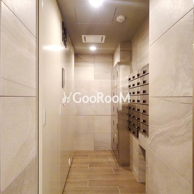 
						カメリア 外観・共用部 写真12