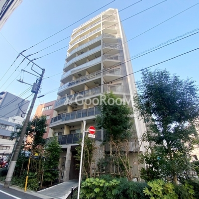 
						カメリア 外観・共用部 写真