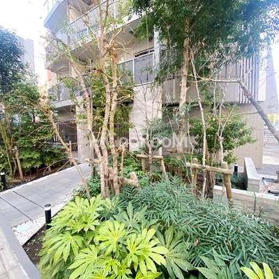 
						カメリア 外観・共用部 写真15