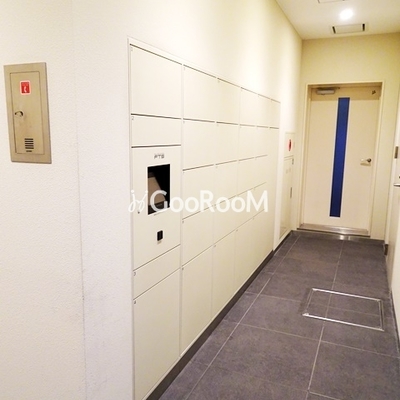 
						プレノ清澄庭園  宅配BOX