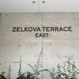 表参道ヒルズゼルコバテラス