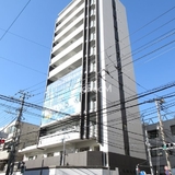 グリシーヌ弥生