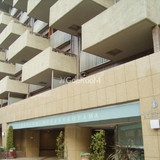 アデニウム武蔵小山