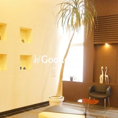 
						レキシントンスクエア白金高輪  ロビー