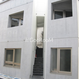 メイプル新中野