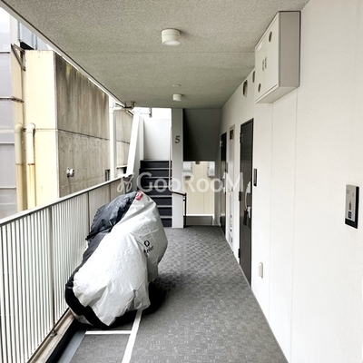 
						豊洲ステーションレジデンスの廊下
