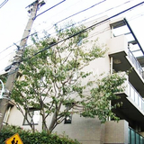 パロス駒場東大前